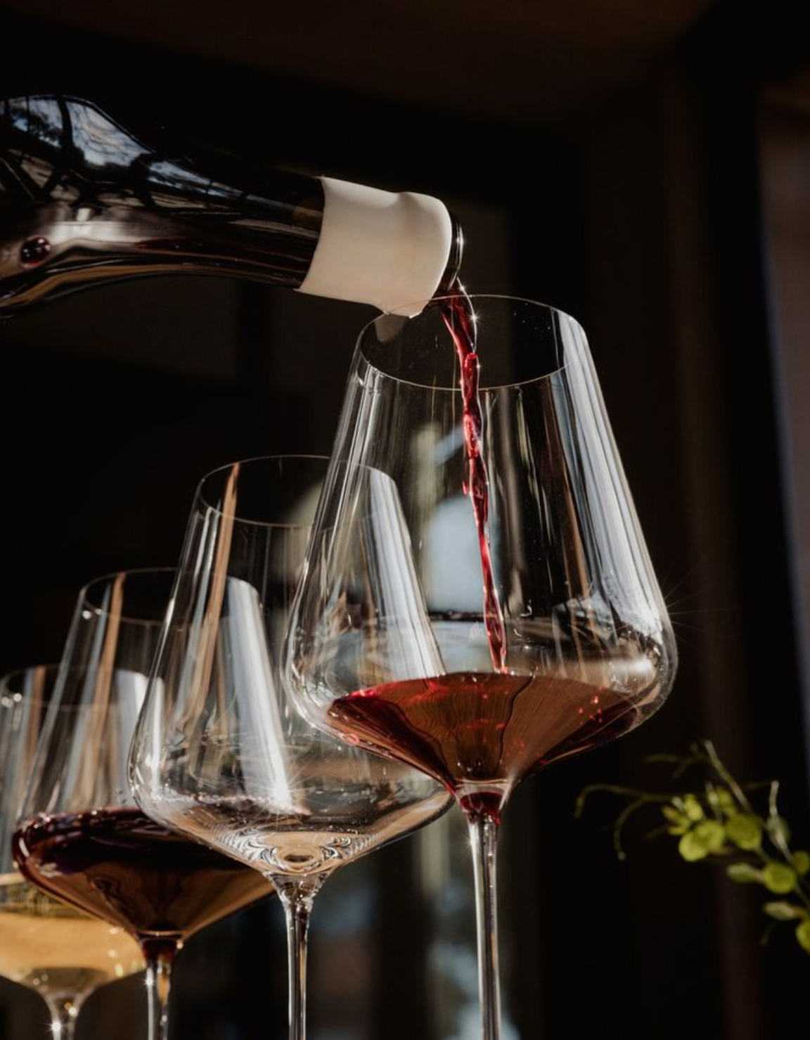 Elegant wine goblets for dining and special occasions